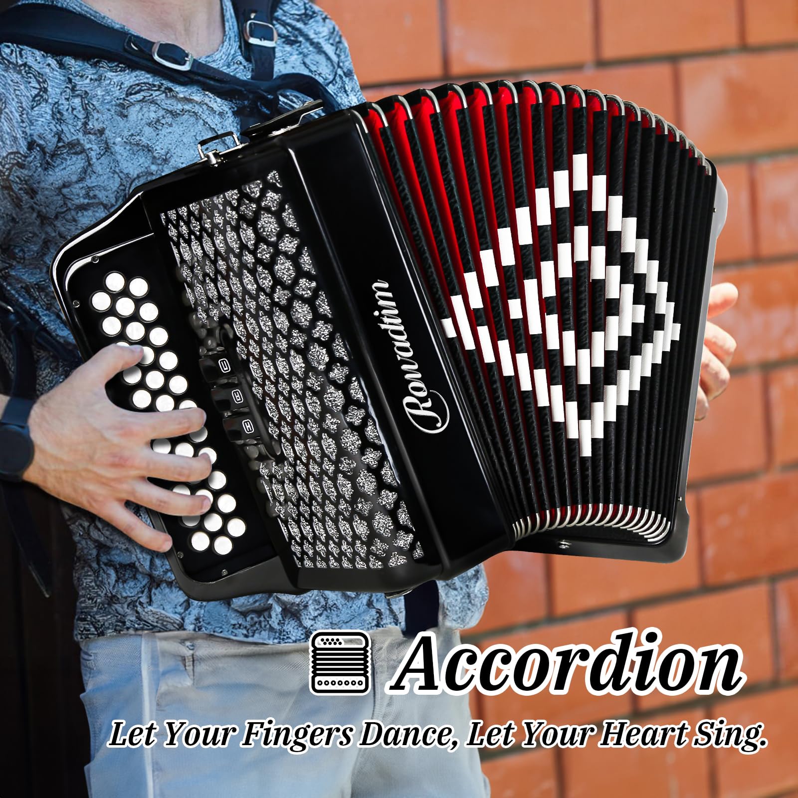 Accordion - 34-Key Diatonic, 12 Bass Buttons, F/B/E Tuning, Push-Pull Heterophonic Design, Premium Quality for Beginners & Professionals (Black)