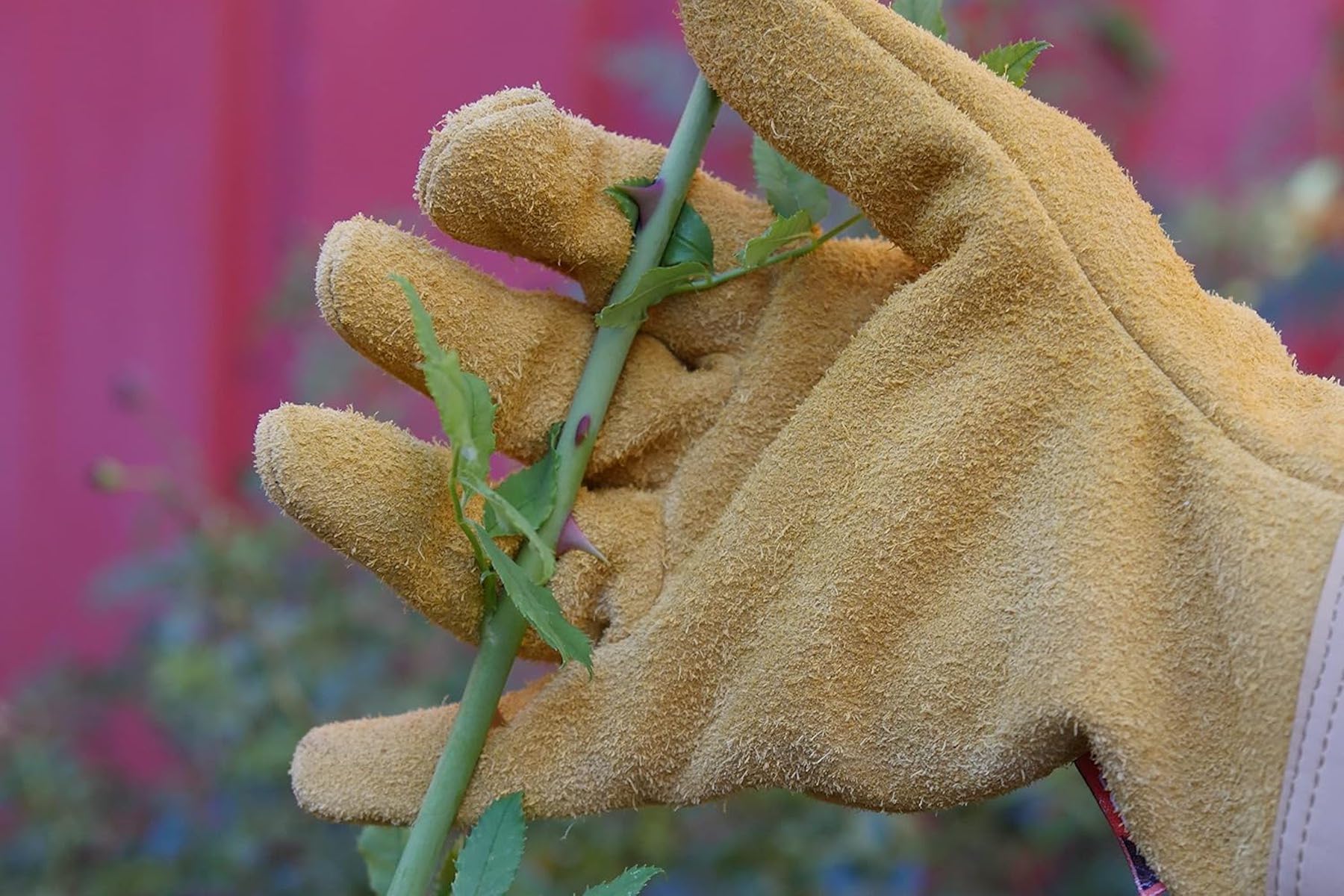 ROSTAING Gants RONCIER - Paire de Gants de Jardinage - Protection Cuir - Gants de Jardinage pour les Épines et Ronces et Gants de Travail, Beige
