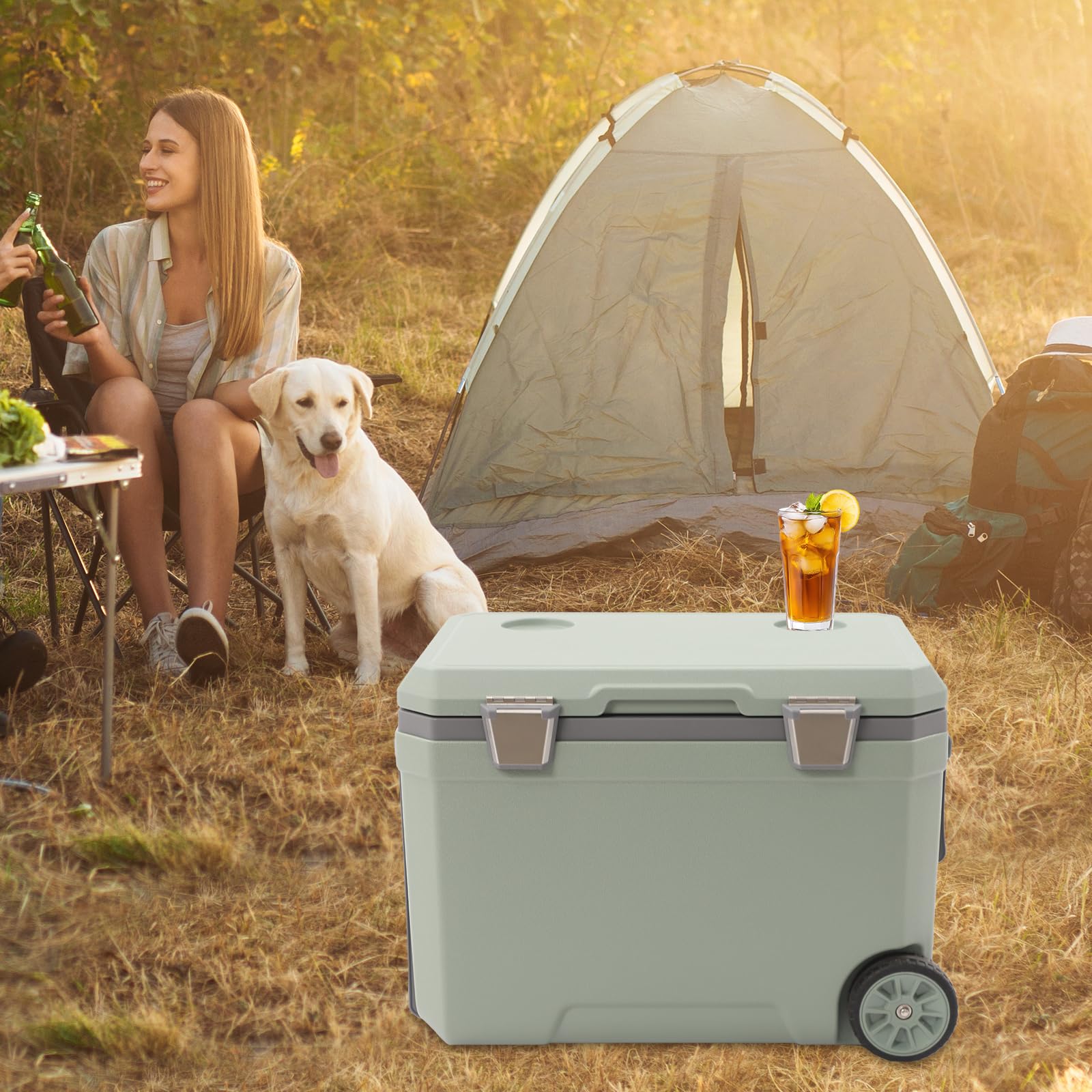 45L nevera grande con ruedas portátil Pasivo Nevera sin electricidad | Carro refrigerador con orificio de drenaje y asas, caja térmica retro para pesca, camping, picnic