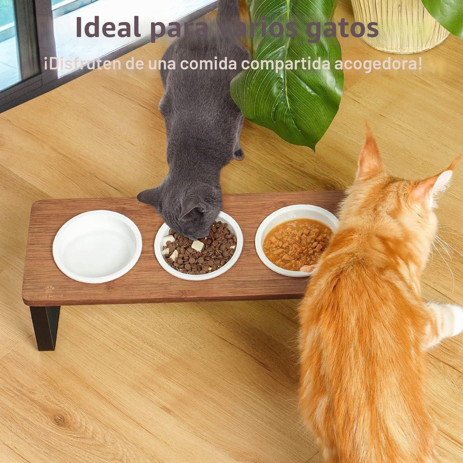GUUSII HOME Comedero Gato Elevado 3 Cuencos Comederos para Gatos Antivómitos Inclinado 15° Ceramica Cuenco Gato 3 en 1 con Soporte de Bambú Natural para Evitar la Fatiga de los Bigotes