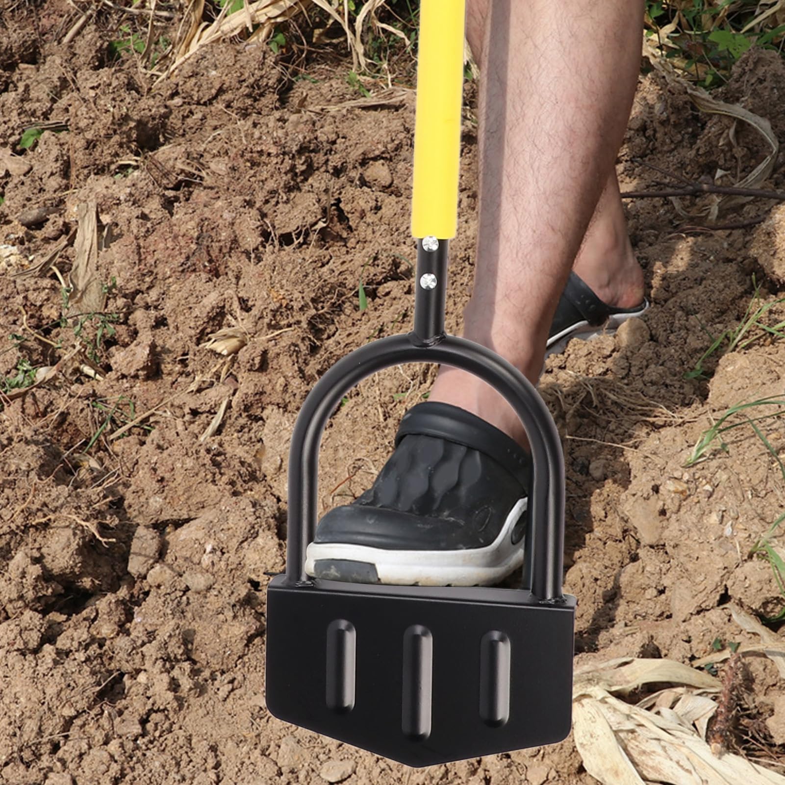 Miriam Song Manual Lawn Edger with Saw Tooth Half Moon Blade, Detachable Long Handle, Yard and Garden Step Edging Tool