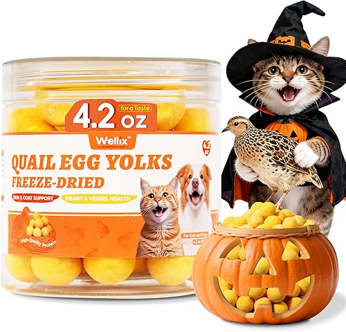 Wellix SunnyBites Freeze Dried Chicken Treats for Cat&Dog -Egg Healthy Cat Treats for Indoor Cats -Supports Immunity&Gut Healthy for Training Kitten Snack or Puppy Treat 3.5oz