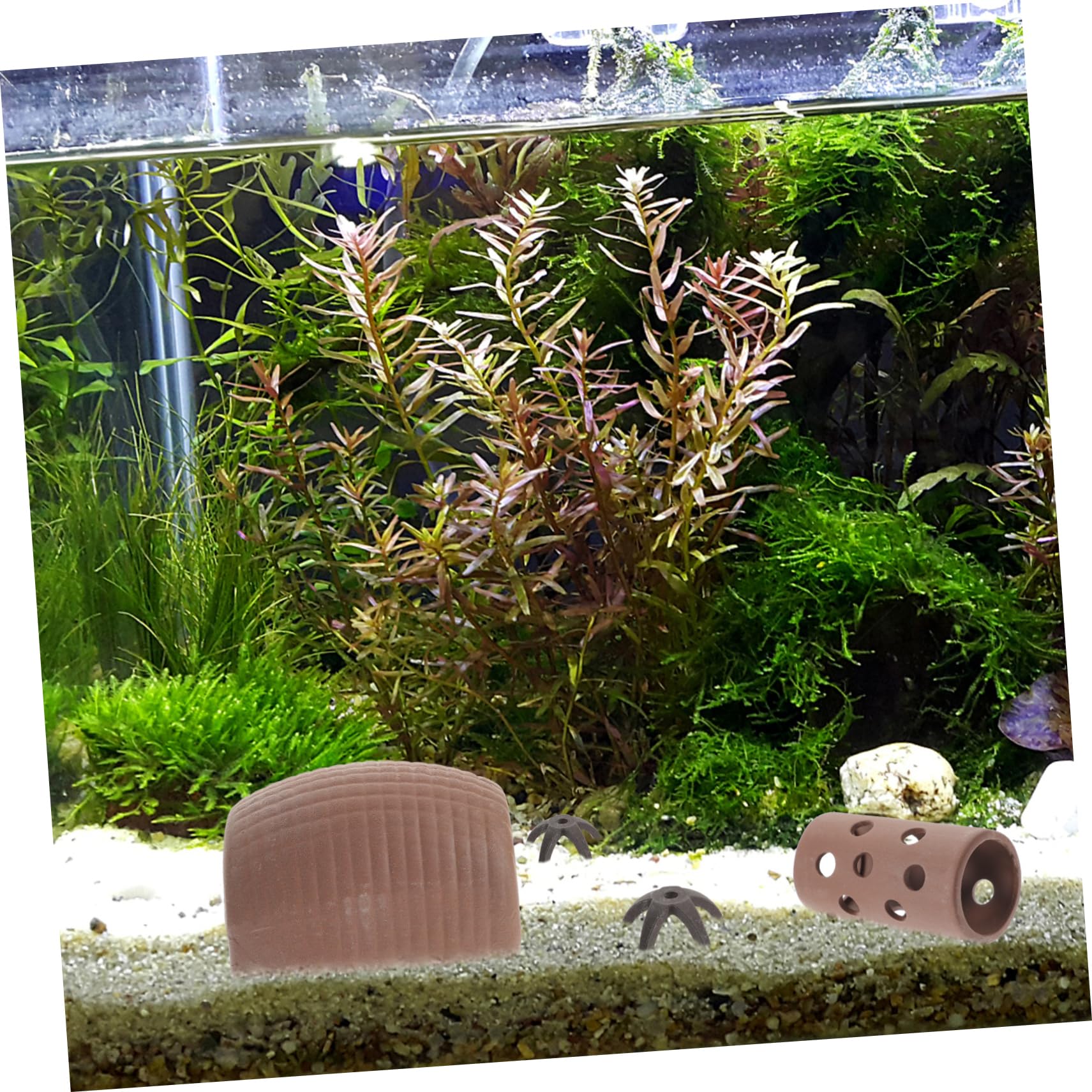 Sosoport 18stücke Teiliges Fisch Und Garnelenversteck Dekorative Aquarium Für Zucht Und Versteckmöglichkeiten Süßwasseraquarien