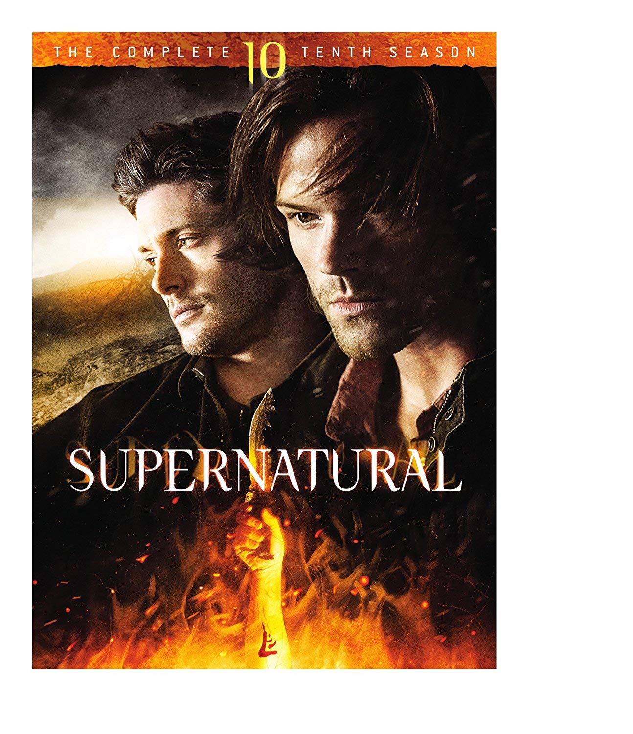 Amazon.com: Supernatural: The Complete Tenth Season (DVD)