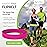 FlipBelt Classic Running Belt for Phone and Small Accessories, Exercise Waist Pouch for Women and Men, XL, Hot Pink