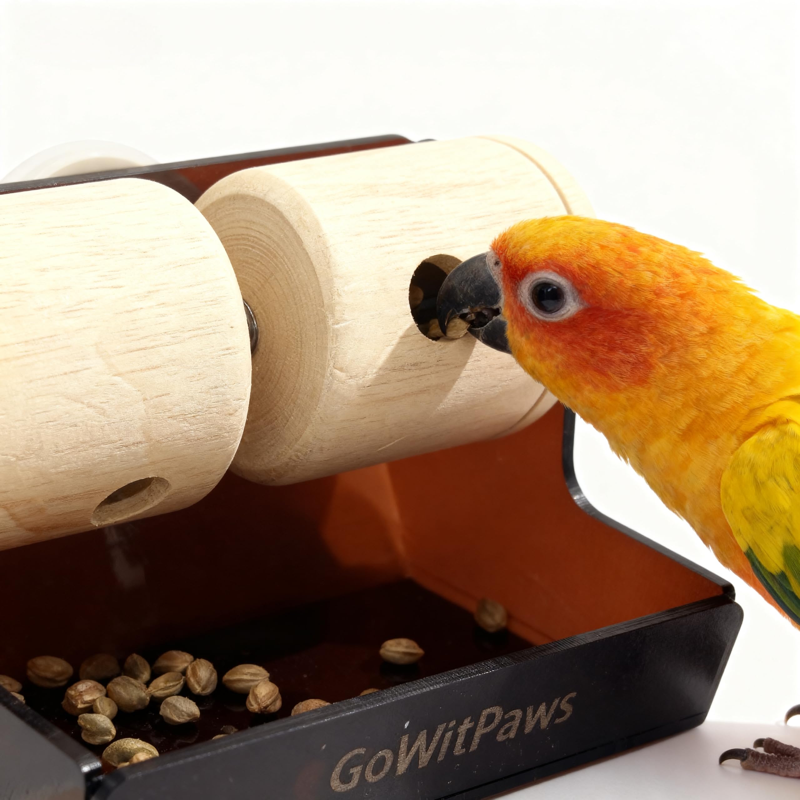 GoWitPaws Rolling Treat Dispenser, Dual Wooden Roller Foraging Toy with Tea-Colored Acrylic Tray, Interactive Puzzle Feeder for Small and Medium Parrots - image 2