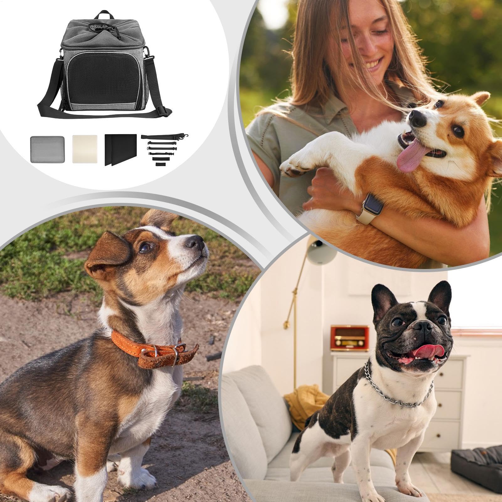 Transportín para Mascotas en Bicicleta Transportín Canino Transpirable | Accesorio Ligero Para Paseos Montaña Acampada Aventuras Playa