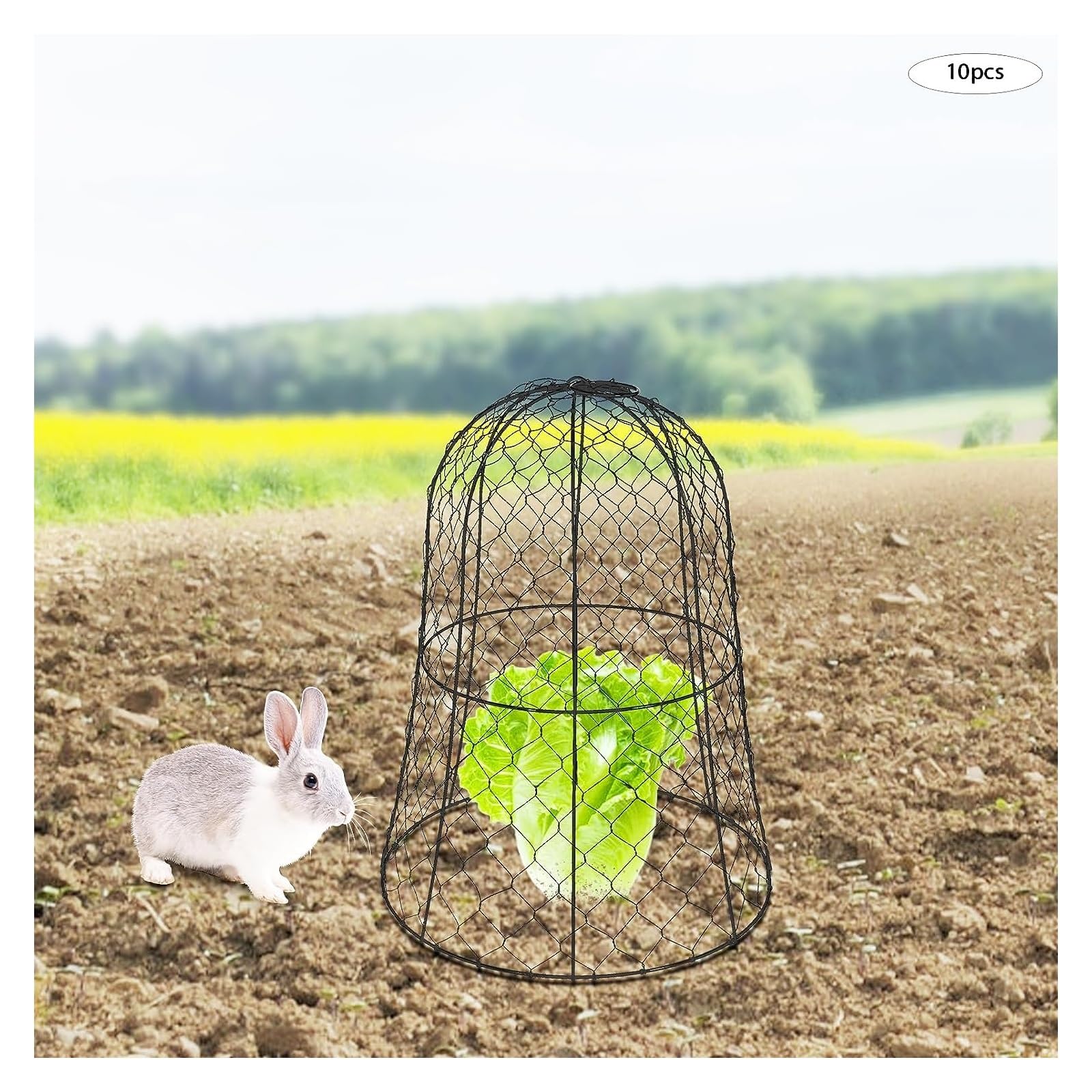 Lot de 6 cloches de jardin pour plantes, protection des plantes en fil de poulet, 32,99 cm de diamètre x 40 cm de hauteur, pour la protection du jardin