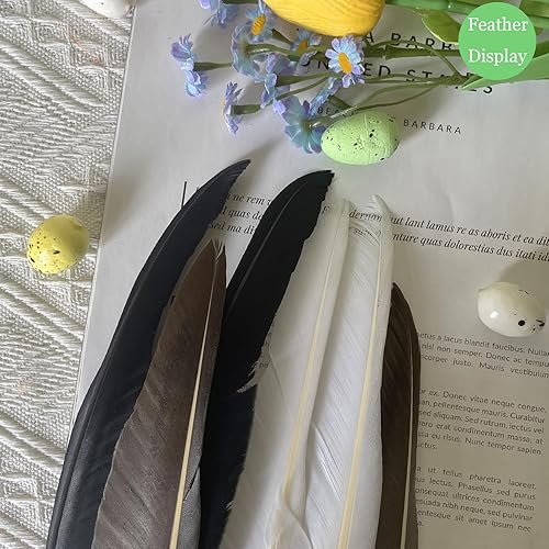 Miniatura 5 de LWINGFLYER 25 plumas de ganso largas blancas de 10 a 12 pulgadas para manualidades, bodas, fiestas, decoración del hogar, accesorios, plumas de