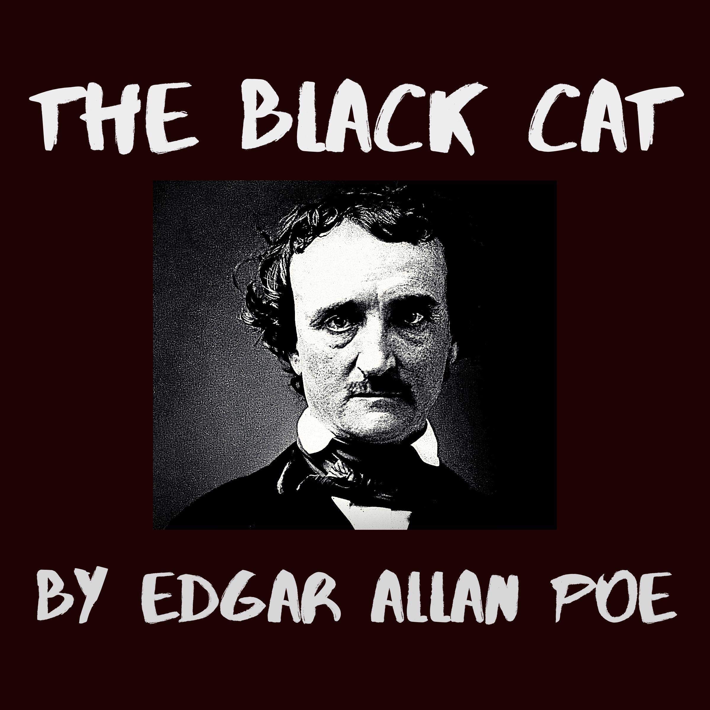 Cover art for The Black Cat