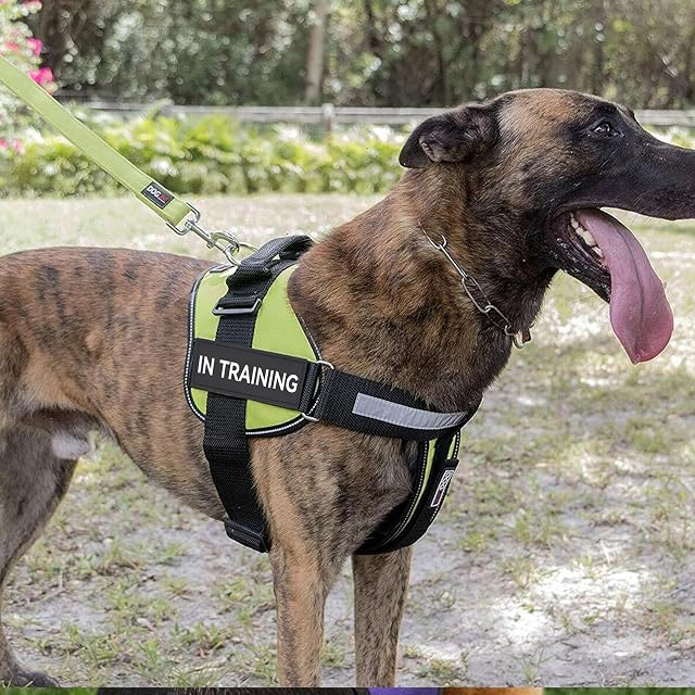 Foto 6 de 7 de 4 Parches de Servicio para Perros, Parches Desmontables para Arnés