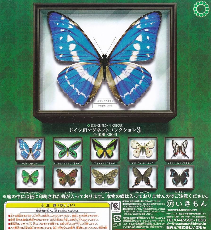 くみもん　３本 81UZiiCS1fL._UF350,350_QL80_.jpg