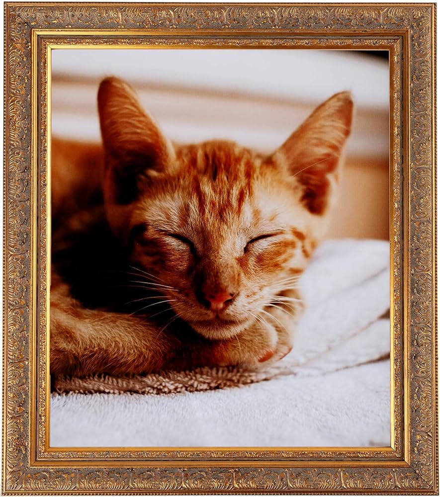 Amazon.co.jp: ArtToFrames 24 x 35インチ マルチ写真フレーム