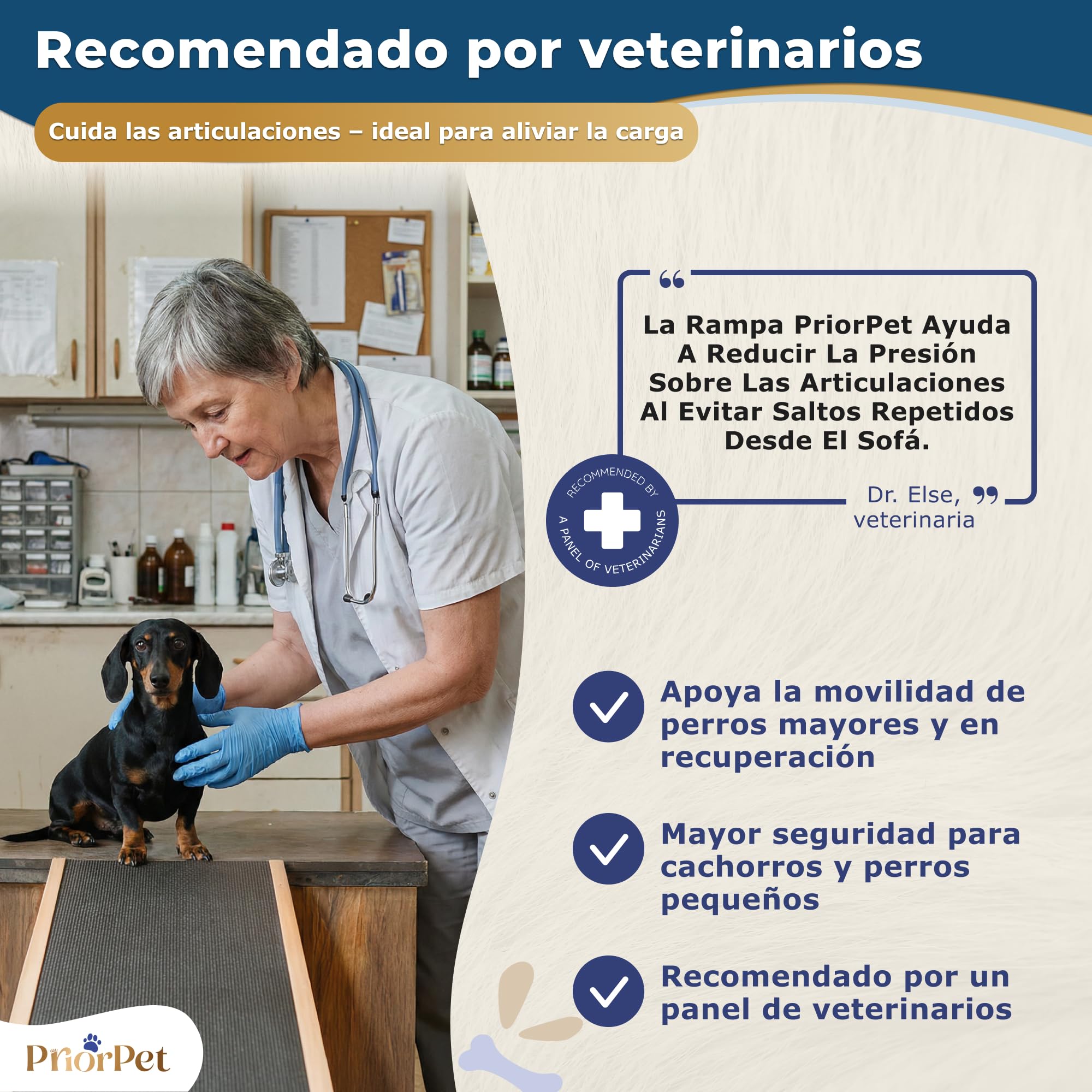 Rampa para Perros pequeños o Grandes - Ajustable 18-53 cm - para Cama y sofá - Madera de Abedul - La Plataforma se Conecta Perfectamente - Superficie Antideslizante - Natural