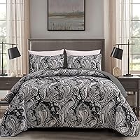 Vista 60 de DJY Juego de edredón de cachemira marrón, tamaño Queen, juego de colcha bohemia de 3 piezas, ropa de cama de microfibra suave y ligera con estampado