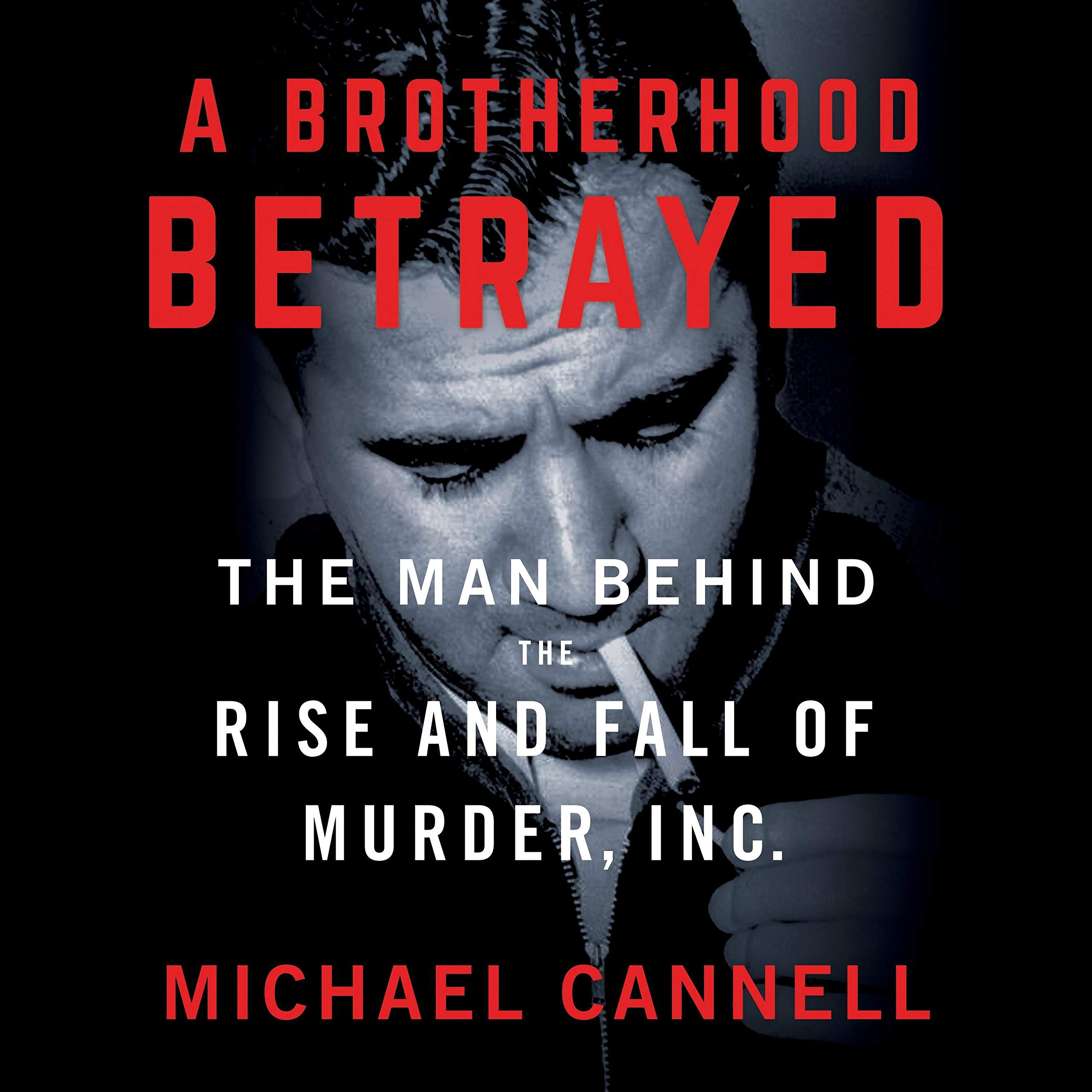 Cover art for A Brotherhood Betrayed