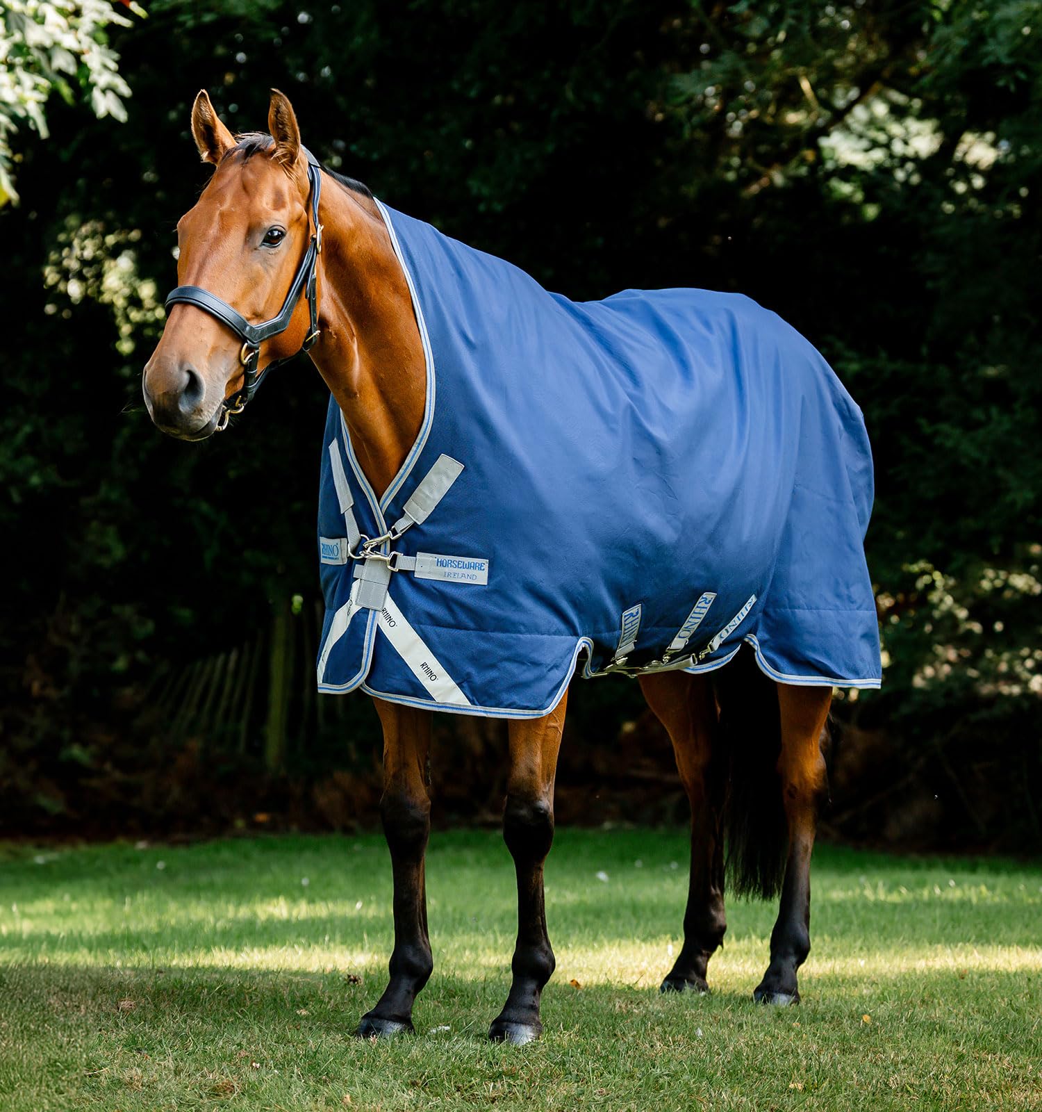 Couverture Rhino Wug avec couche variée 450g pour cheval