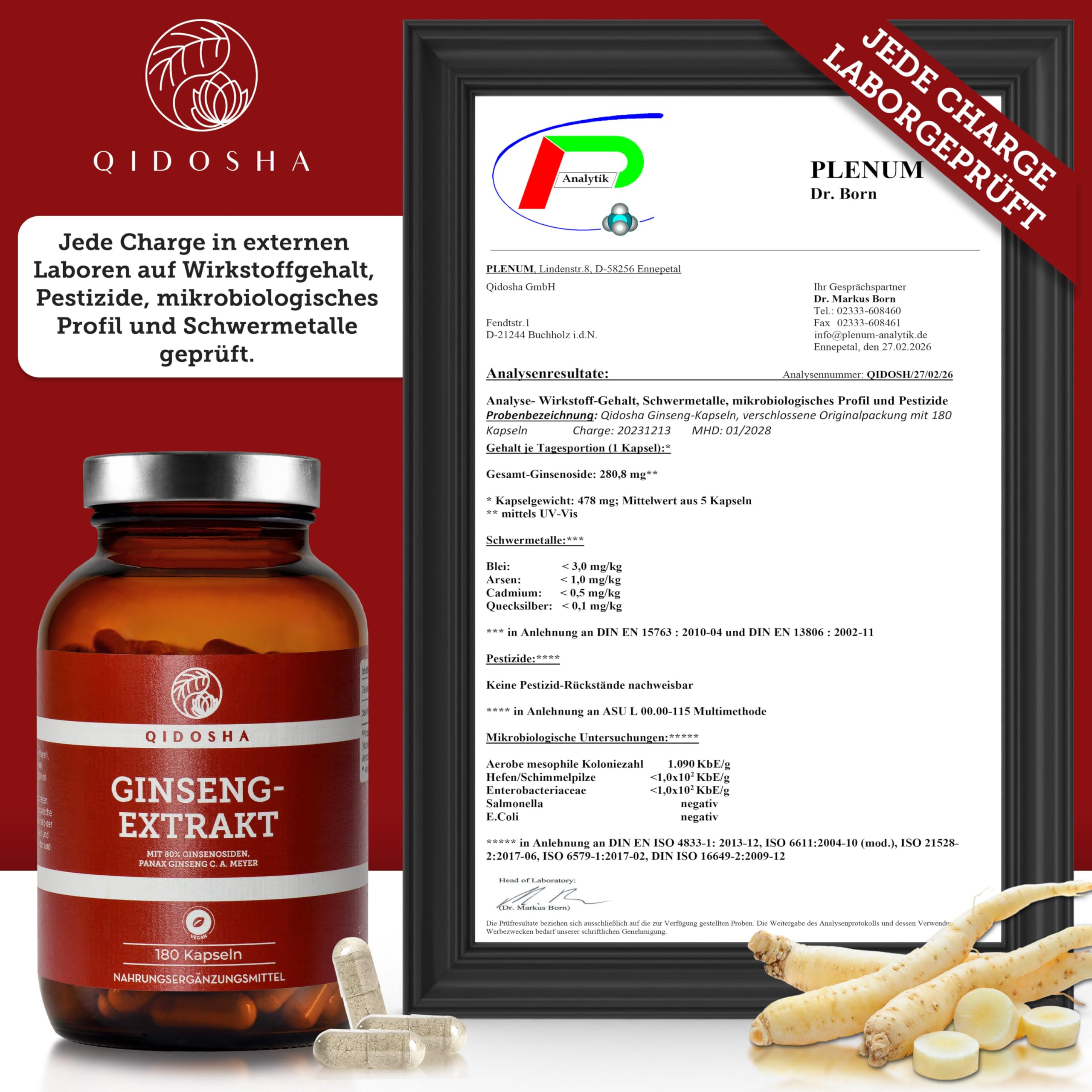 QIDOSHA® Ginseng Kapseln hochdosiert mit 80% Ginsenosiden, 180 Kapseln im Apothekerglas, original Roter Panax Ginseng C.A. Meyer, deutsche Fertigung, ohne Füllstoffe