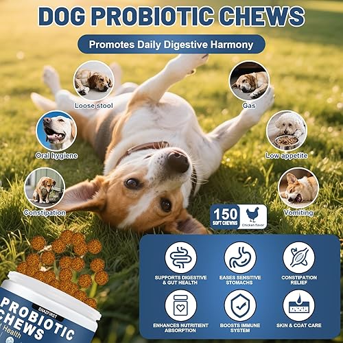 Miniatura 2 de SnazFirst Probióticos para perros, probióticos masticables para la salud digestiva y la salud intestinal, mejoran el sistema inmunológico, el