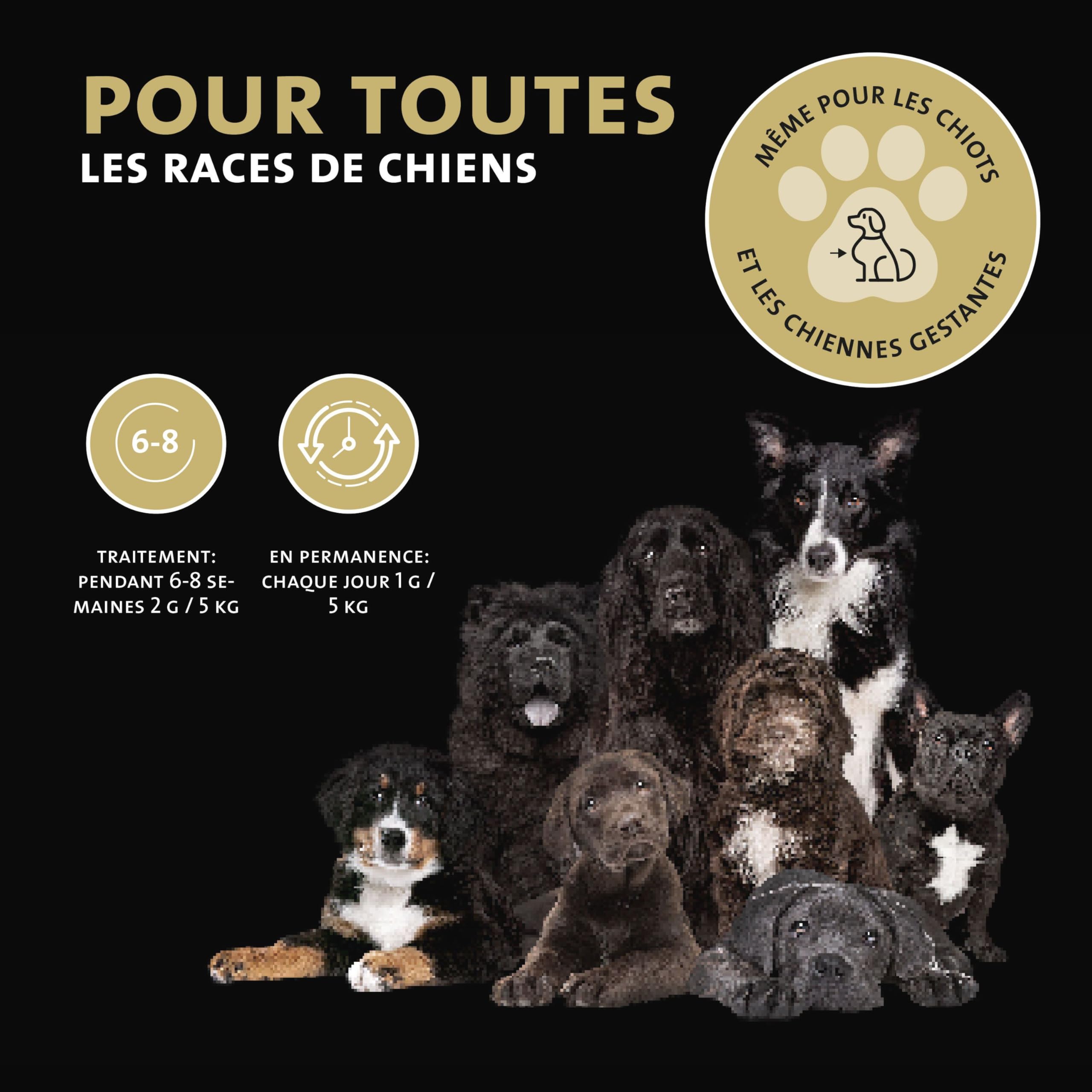 Peticare Mélange Muscles & Activité pour Chiens | Complément Alimentaire avec collagène & acides aminés | Soutien de la mobilité & de la vitalité | pour Chiens Actifs & Seniors | petDog Health 2503