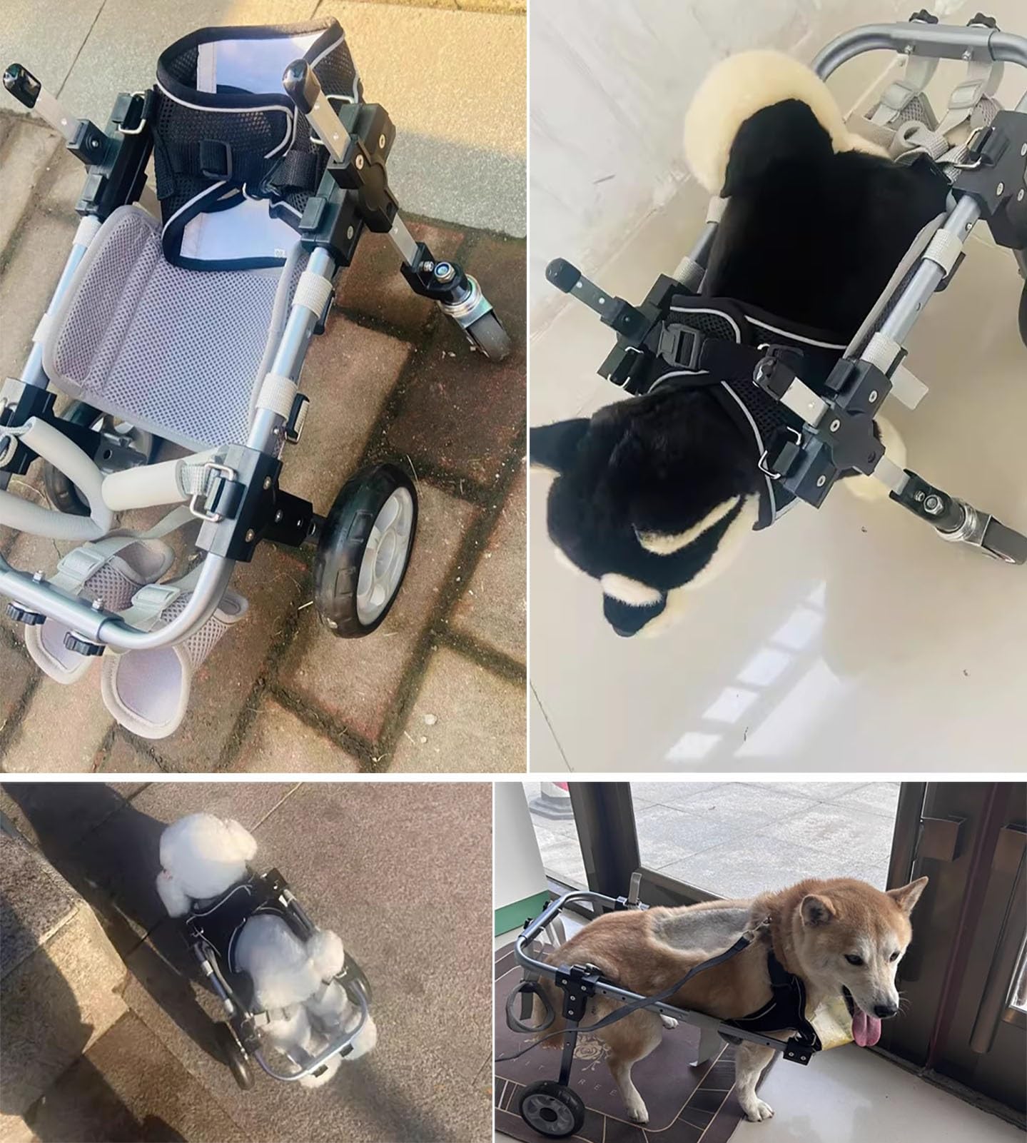 Amazon.co.jp: 高齢犬用ペット用車椅子 – 4輪脚ブレース付きX-Small