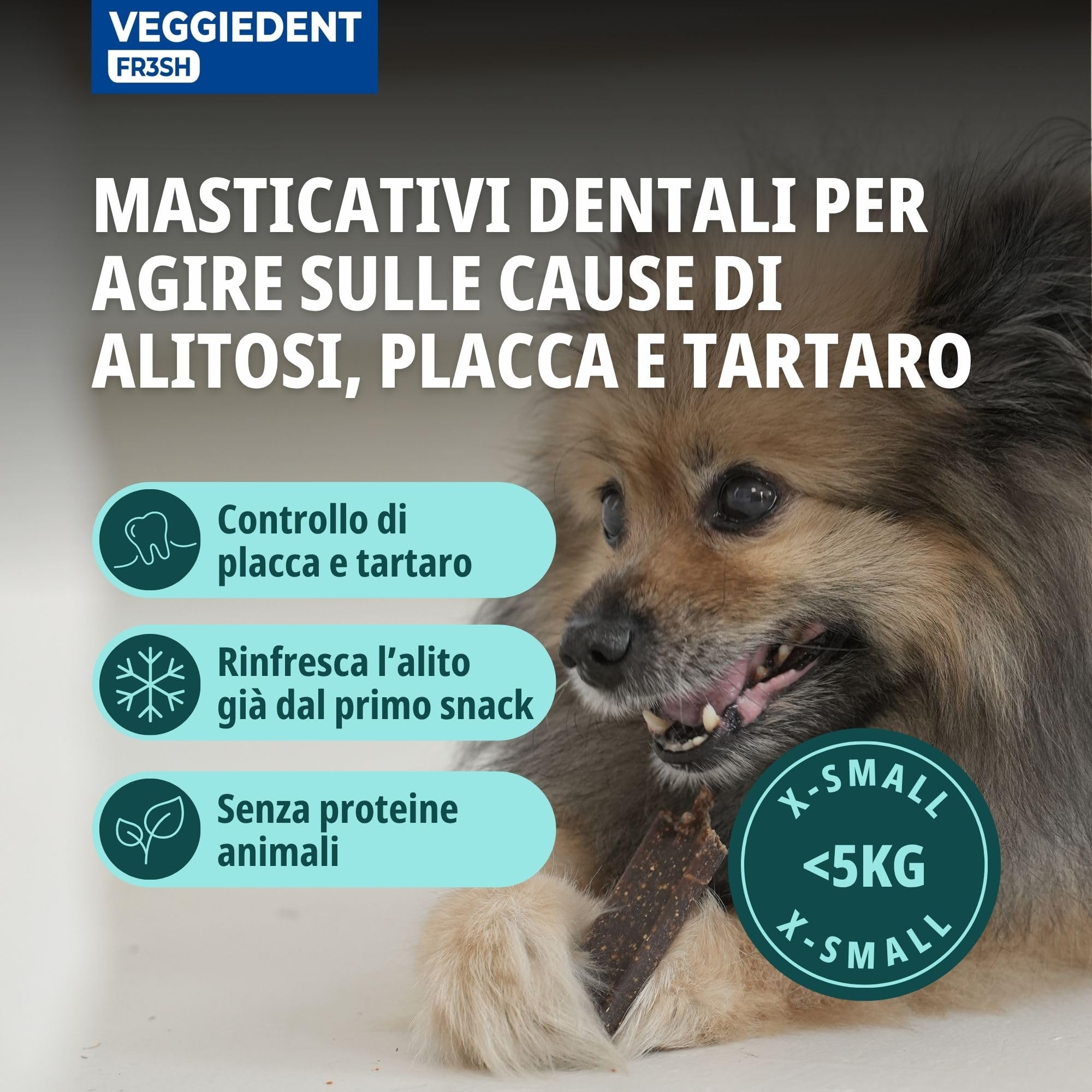 Virbac VeggieDent 15 strisce XS < 5 kg | 120 g | Strisce da masticare per cani di piccola taglia fino a 5 kg | Spuntino vegetariano per controllare placca dentale e placca | Una striscia da masticare