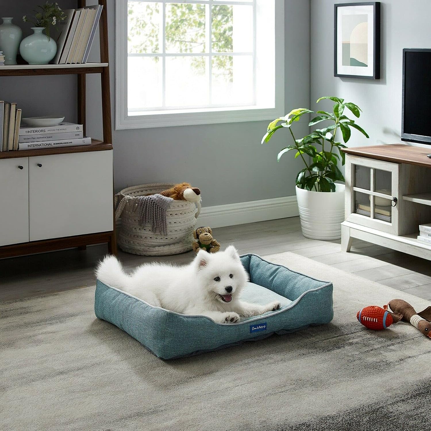 Sam's Pets Arthur Dog Bed, Teal - Modern Design, Orthopedic, Soft Fabric, Easy Cleaning, Medium