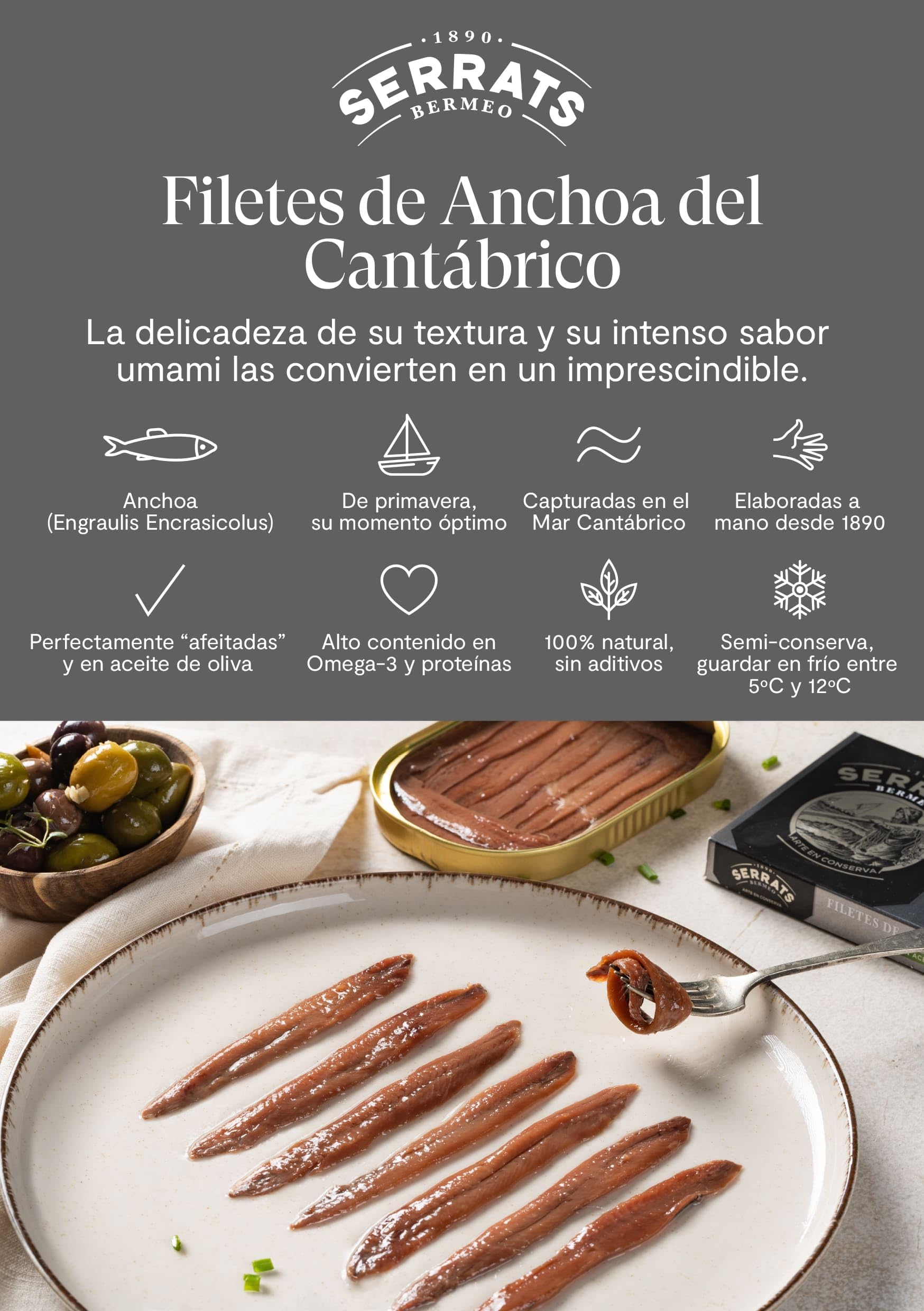 CONSERVAS SERRATS - Anchoas del Cantábrico en Aceite de Oliva - 12 Latas x 50g (Total: 600g) - Elaboración Artesanal, 100% Natural, Sin Espinas, Gourmet, Alto contenido en Omega 3