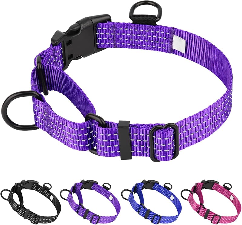 Coleira Martingale para Cães em Nylon com Fecho Rápido Dlitk, Roxa, Tamanho M