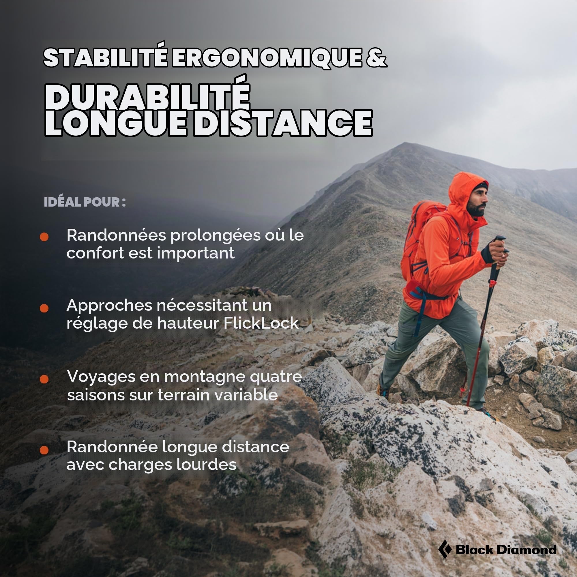 Black Diamond Pursuit Bâtons de randonnée en Aluminium Pliables et réglables