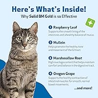 Vista 6 de Pet Wellbeing Solid BM Gold para gatos – Apoya la función digestiva saludable, heces sólidas, movimientos intestinales normales, bayberry
