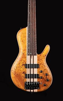Amazon.com: Cort Artisan Series A5 Plus 5 String Bass Guitar, Open