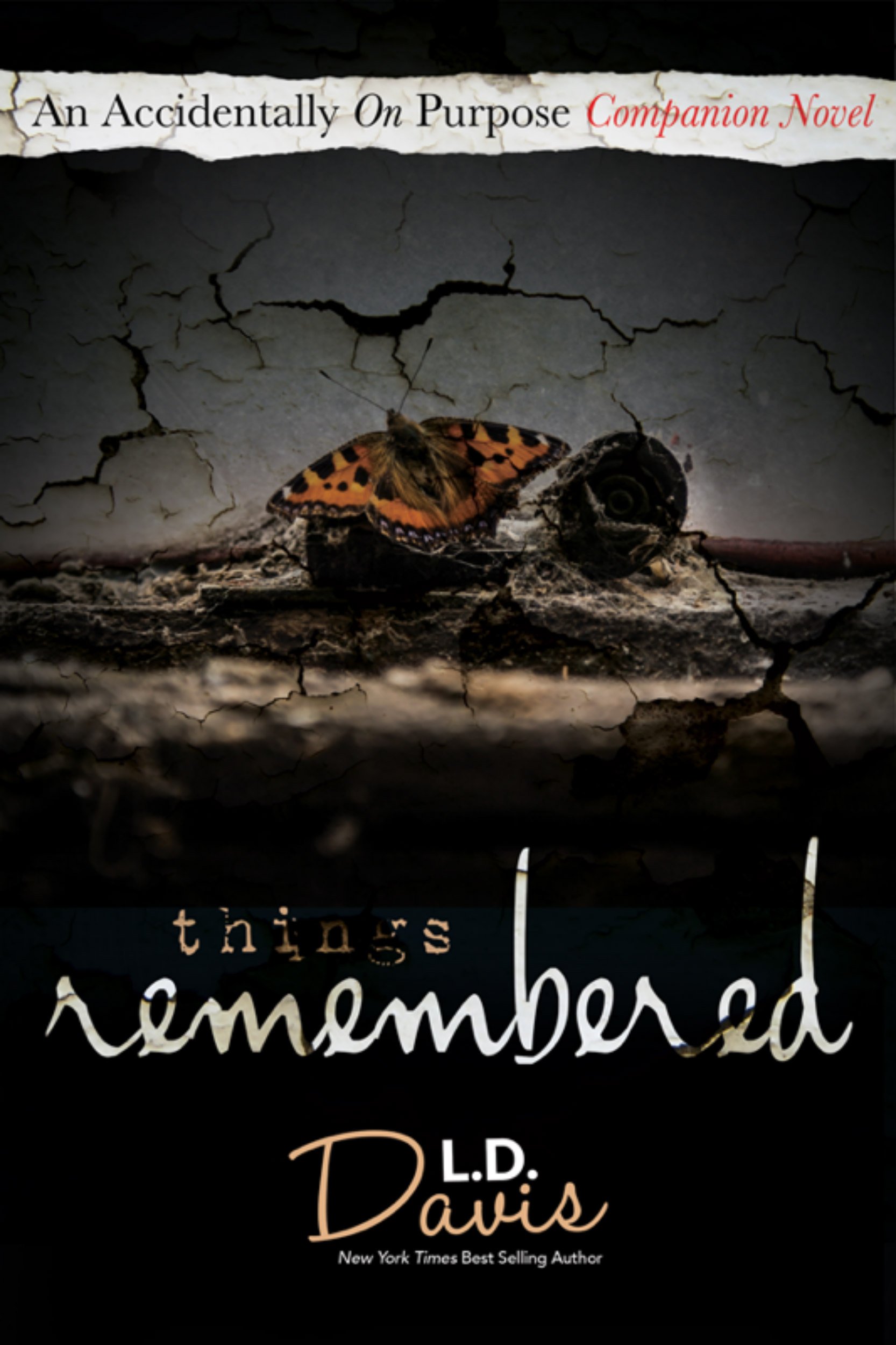 Things Remembered (An Accidentally On Purpose Companion Novel Book 3)