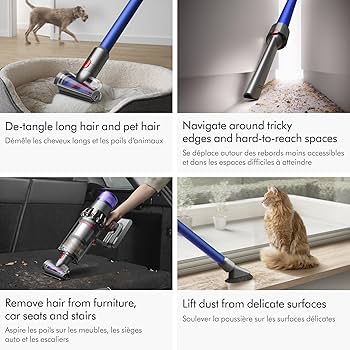 81Wo8Ge9Y4L._AC_UF350, 81Wo8Ge9Y4L._AC_UF350,