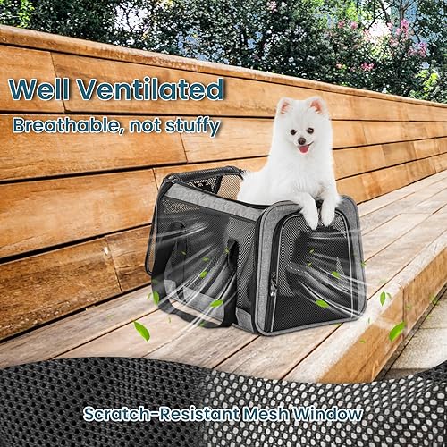 Miniatura 5 de Petsfit Transportador para perros pequeños, ligero, portátil, suave, para gatos grandes y medianos, malla transpirable de 5 lados, a prueba de fugas
