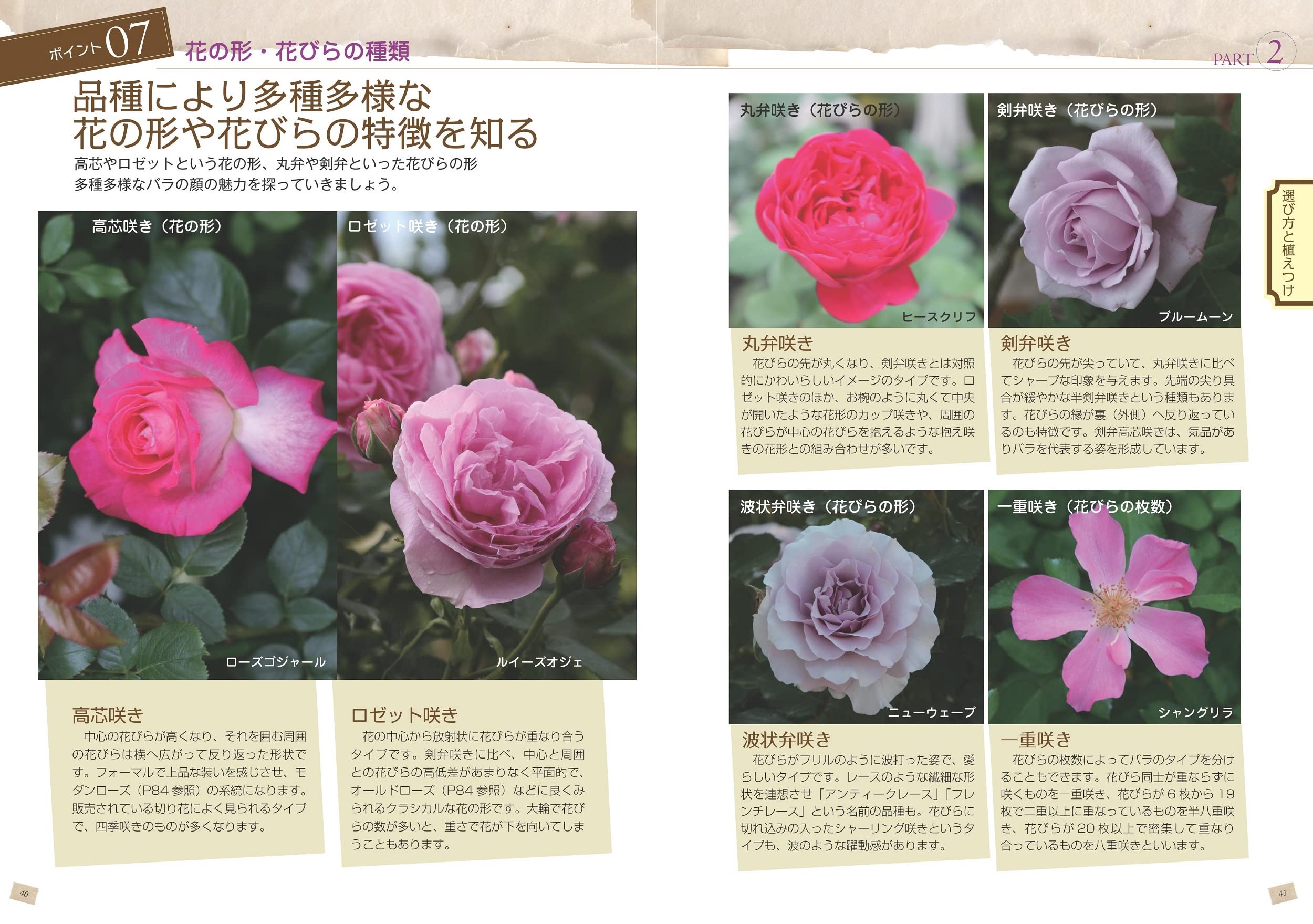 はじめての鉢バラ 育て方の基本がわかる本 鉢でバラを美しく咲かせるポイント コツがわかる本 後藤 みどり 本 通販 Amazon