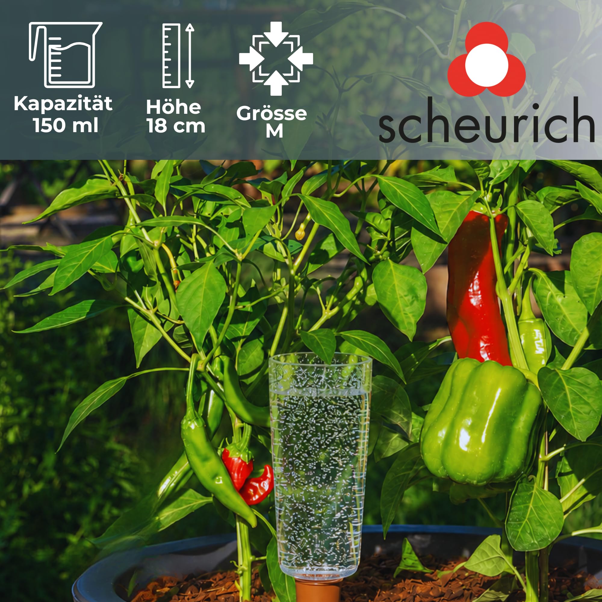 Scheurich Copa M Distributeur d'eau, distributeur d'eau, boule d'irrigation, vert transparent (4, transparent)