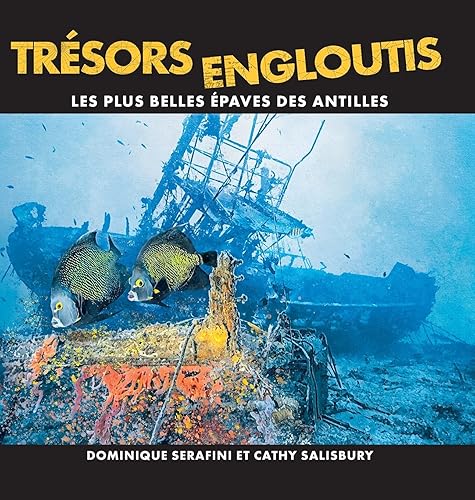 Trésors Engloutis: Les plus belles épaves des Antilles (French Edition)