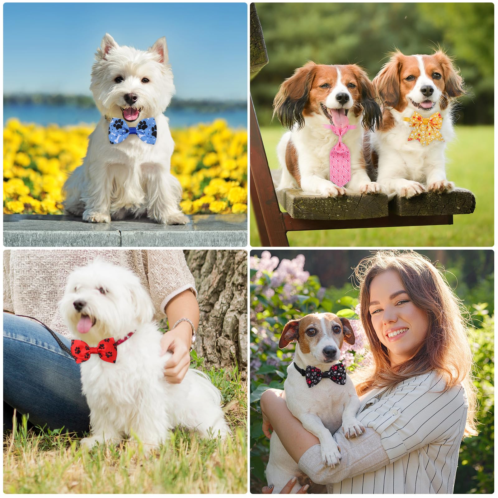 Reginary Lot de 100 Colliers avec nœud Papillon pour Chien Comprenant 40 Cravates pour Chien, 30 nœuds Papillon pour Chiot, 30 Fleurs de Collier, nœuds réglables pour Chiens de Petite et Moyenne