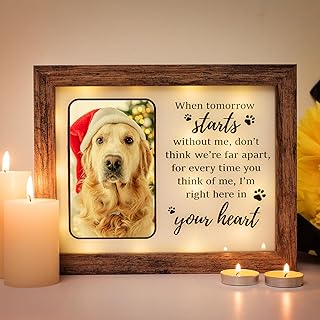Dog Memorial Gifts for Loss of Dog - LED Pet Memorial Shadow Box Loss of Dog Sympathy Gift and Pet Memorial Gifts for Dogs - Pet Memorial Frame 8" x 10"