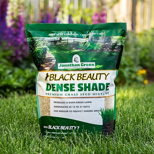 Miniatura 3 de Jonathan Green 10622 Black Beauty - Semilla de césped densa para sombra - Semilla de césped de temporada fría 1 libra