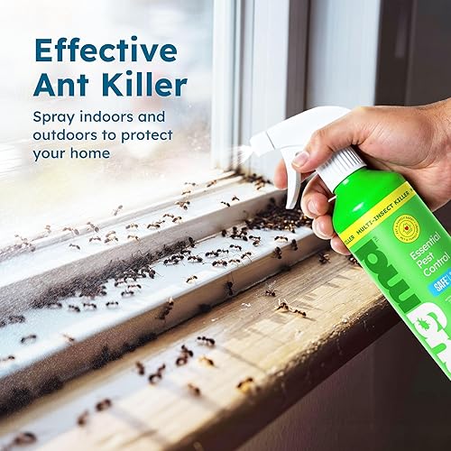 Miniatura 3 de BugMD - Concentrado de aceite esencial de control de plagas de 37 onzas - Spray de insectos alimentado por plantas mata insectos arañas pulgas