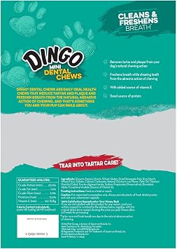 Dingo P-28006 576 Count Mini Dental-Treats, One Size