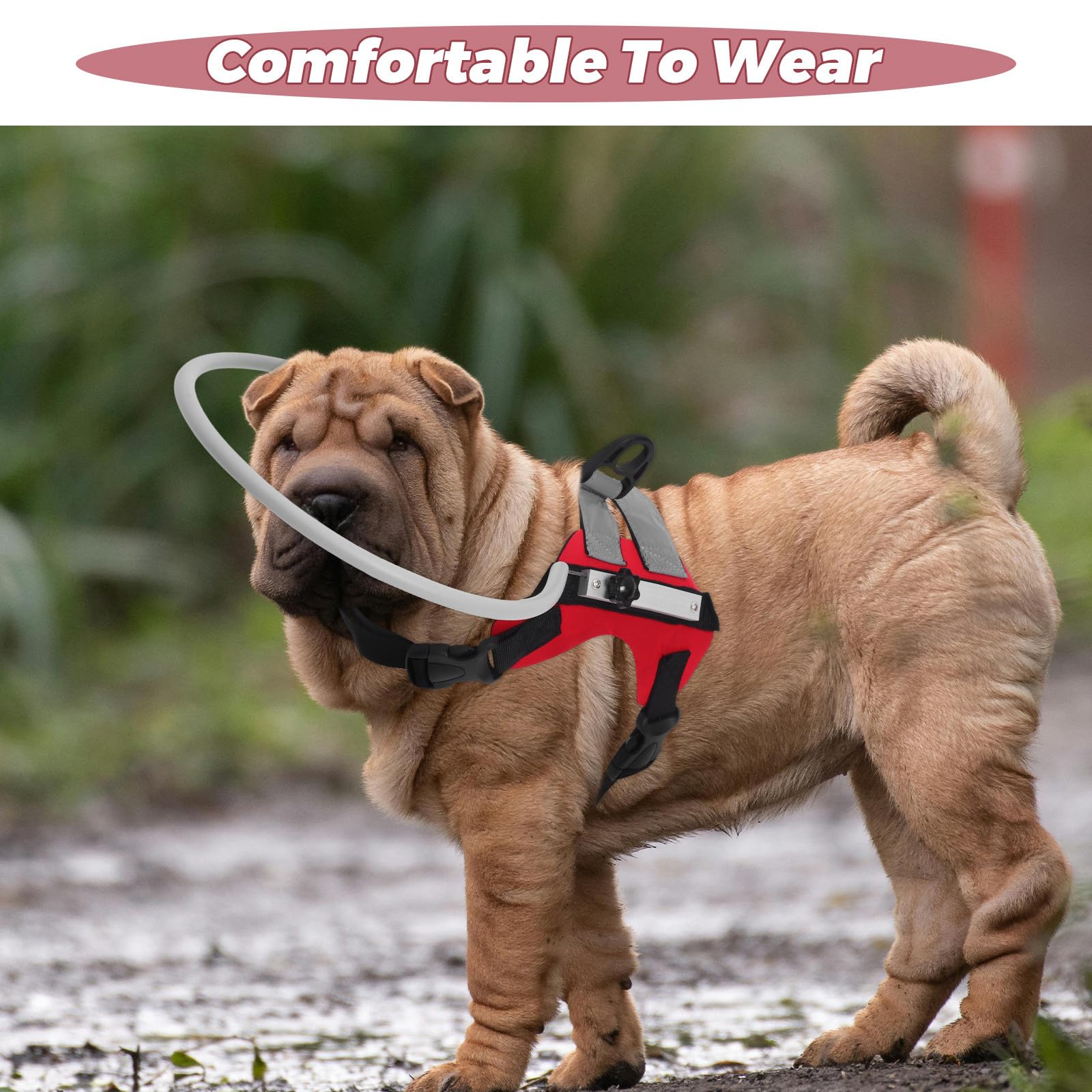 Veemoon Collier Anti-Collision Réglable pour Chien Aveugle, Anneau de Protection Léger en Polyester Rouge Taille S, Dispositif de Navigation pour Éviter Les Collisions, Accessoire Santé