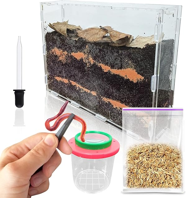 Science Lab Large Worm Farm Kit and Terrarium for Kids. Catch and Observe Worms! Grow a Garden! Fun Follow-Along E-Book Included!