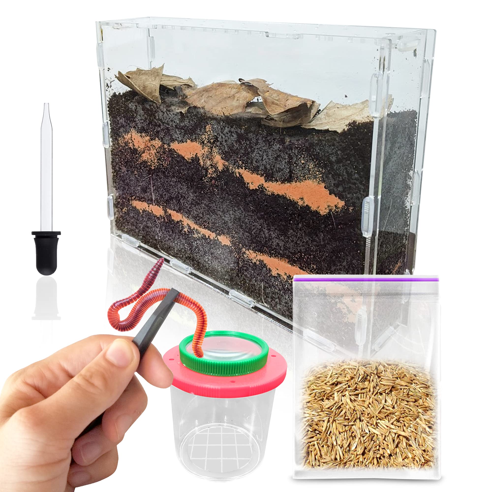 Buy Science Lab Large Worm Farm Kit and Terrarium for Kids. Catch and