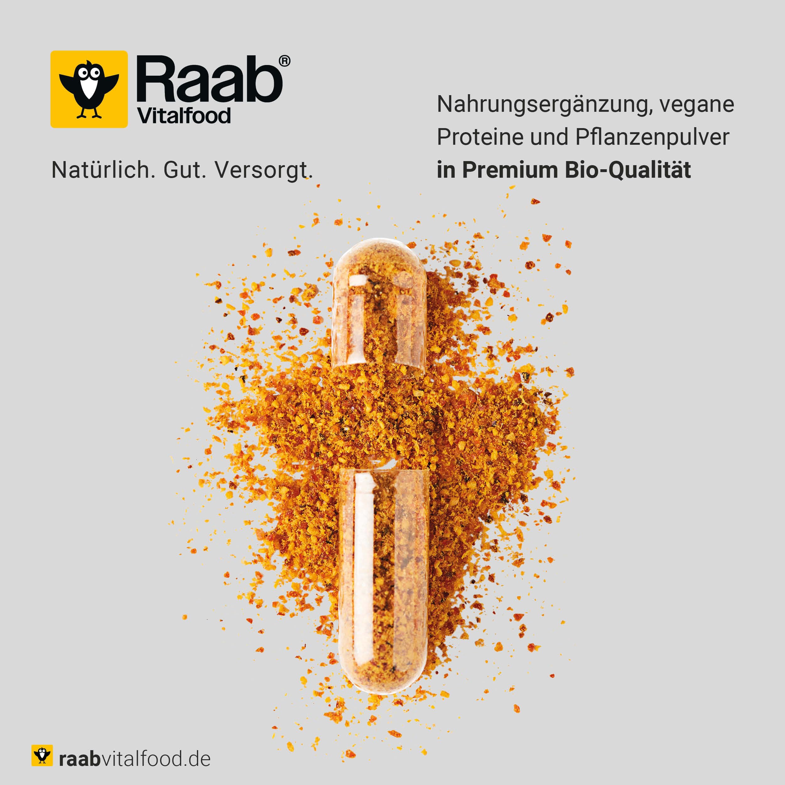 Raab Vitalfood Bio Hagebutten-Pulver, Premium-Sorte AP-4 Hagebutte aus dem Süden von Chile, mit natürlichem Vitamin C für eine normale Kollagenbildung & Knorpelfunktion (500g)