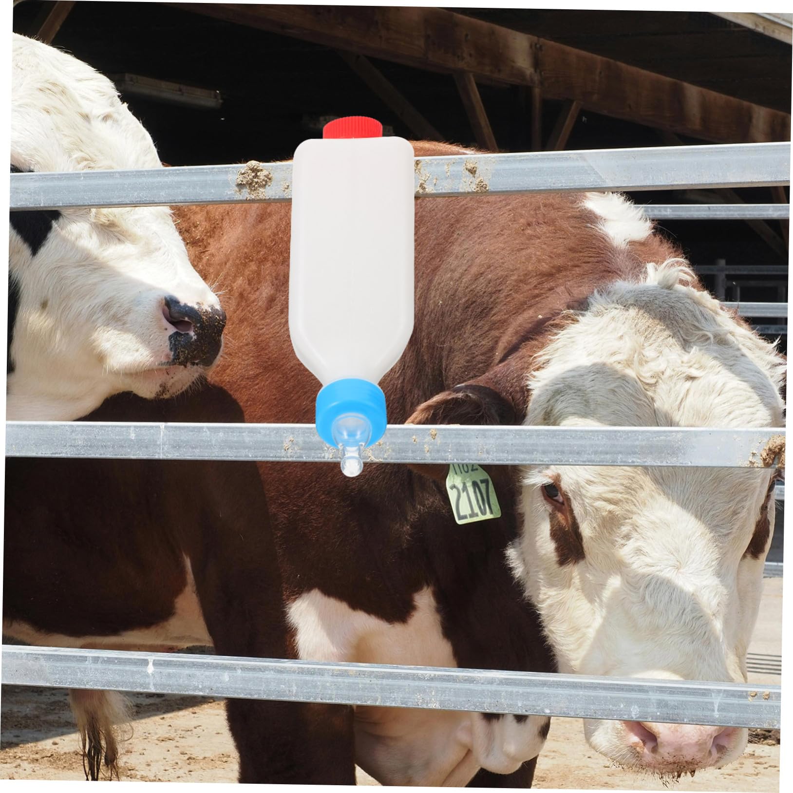 BESPORTBLE 5 Piezas Botella De Pet Cerdito Pequeña Botella De Leche De Ganado Biberón Para Terneros Biberón Para Ovejas Contenedor De Alimentación De Mascotas El Plastico