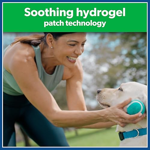 Miniatura 3 de Parches para alivio del dolor de Salonpas, 40 unidades, cajas de 5, 10346581830061, 1, 1