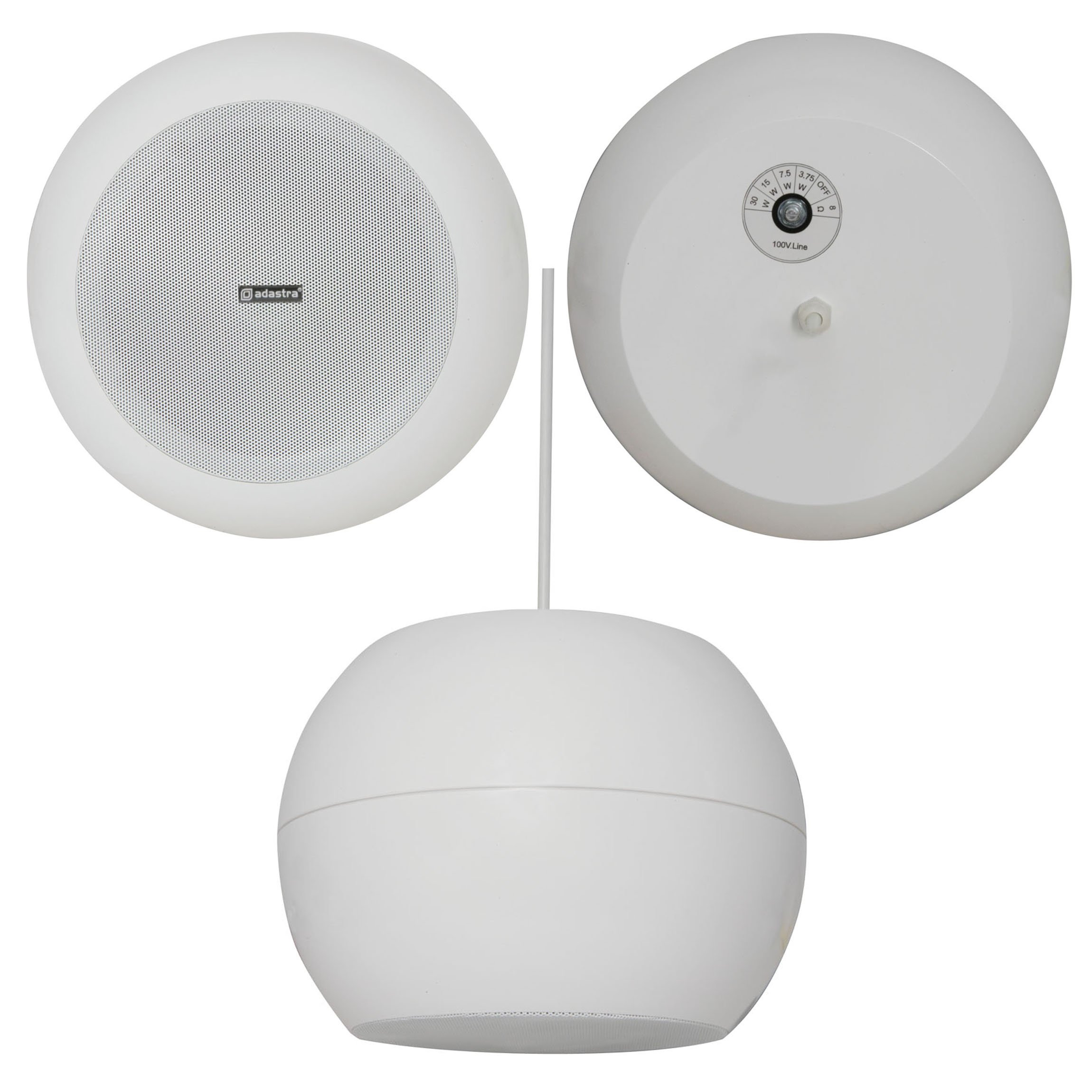 Haut-parleur suspendu/suspendu de plafond blanc 5 cm 20 W x 100 V et 8 ohm* fond – boucles